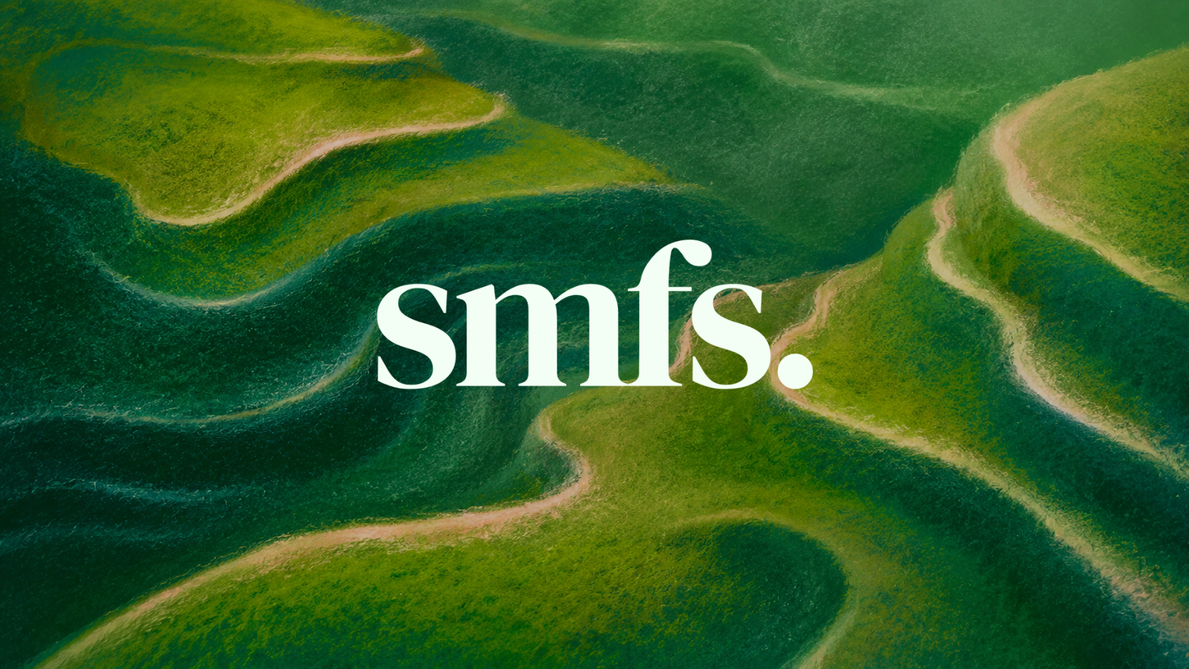SMFS — aerial landscape with the wordmark overlaid
